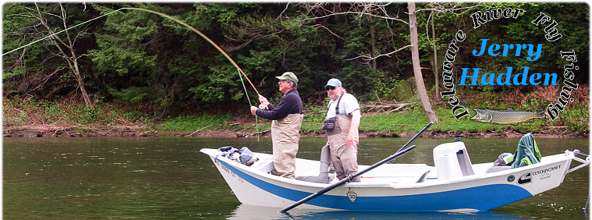 Delaware River hatch, insect hatches, what's hatching?